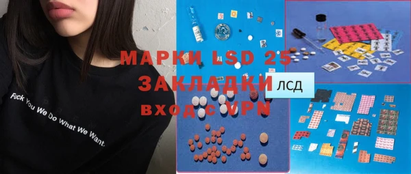 шишки Алзамай