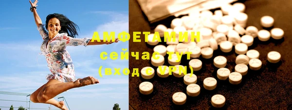 шишки Алзамай