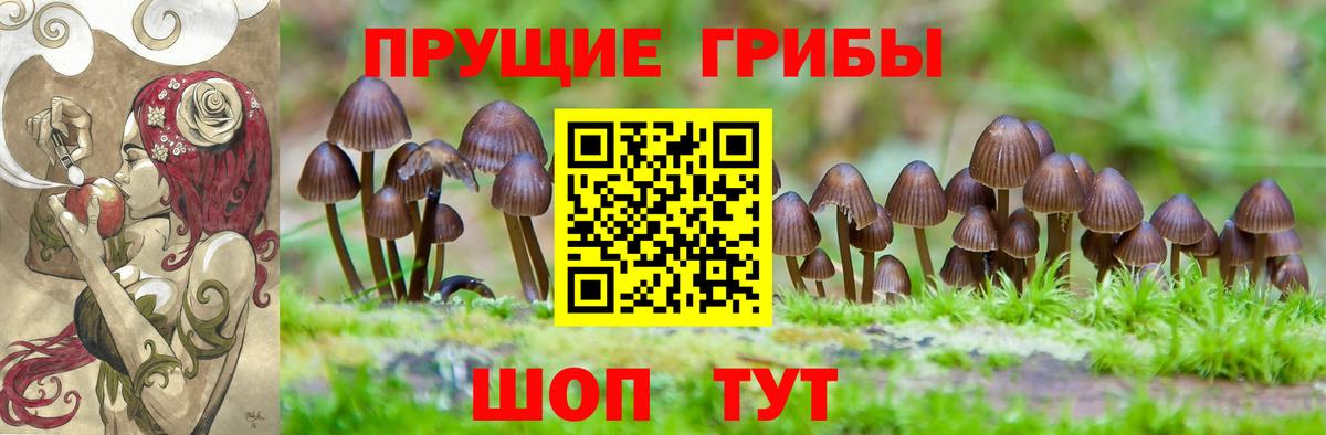Псилоцибиновые грибы мухоморы Владимир